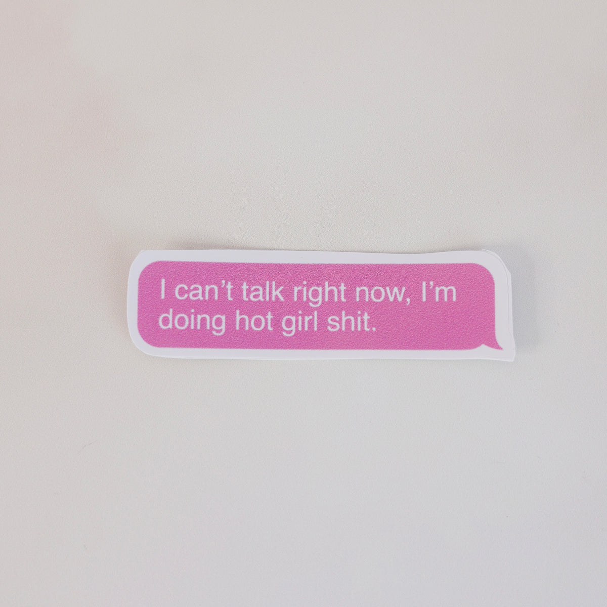 Hot Girl Sh*t Sticker 💕🔥 – Cool Girl Fridge